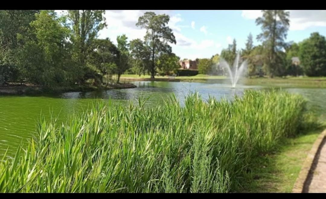 Pilar Del Lago Golf *